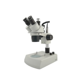 Stereo microscope BMS 11-B-2L Trino