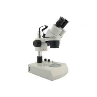 Stereo Microscope BMS 11-C-2L