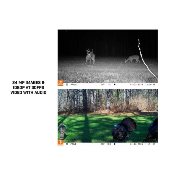 BUSHNELL Prime COMBO 24MP Low-Glow Camera
