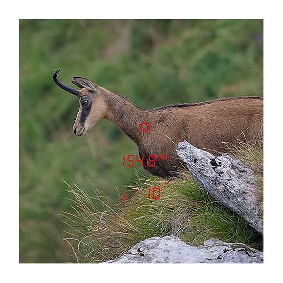 Binoculars GPO RANGEGUIDE 3200 10x40 Black