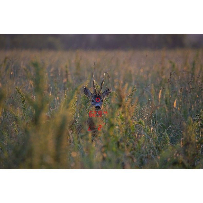 Binoculars GPO RANGEGUIDE 2800 10x50...