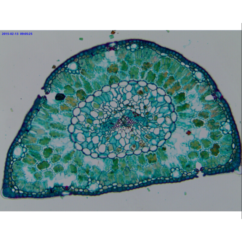 TOUPTEK ToupCam WUCAM 720PA camera,...