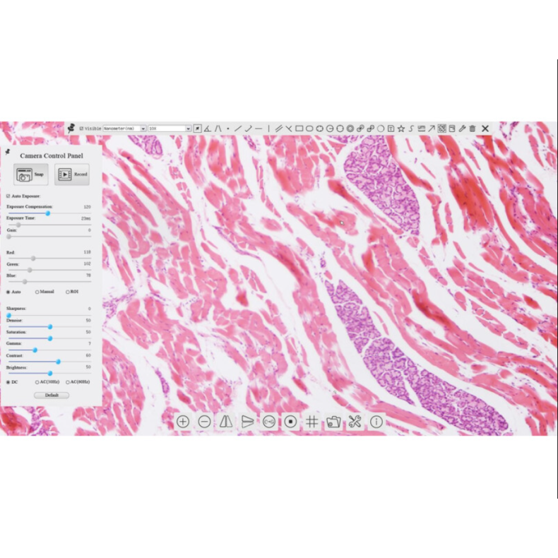 TOUPTEK ToupCam XCAMLITE1080P A... TOUPTEK ToupCam XCAMLITE1080P A...