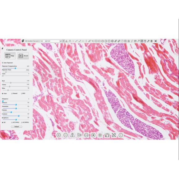 TOUPTEK ToupCam XCAMLITE1080P A camera, color, CMOS, 1/2.8", 2.9µm, 60fps, 2 MP, HDMI