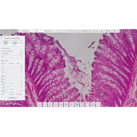 TOUPTEK ToupCam XCAMLITE4K 8MPA camera, color, CMOS, 1/1.8", 2 µm, 30/20 fps, 8 MP, HDMI/USB