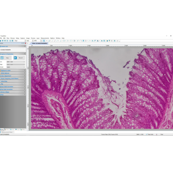 TOUPTEK ToupCam XCAMLITE4K 8MPA camera, color, CMOS, 1/1.8", 2 µm, 30/20 fps, 8 MP, HDMI/USB