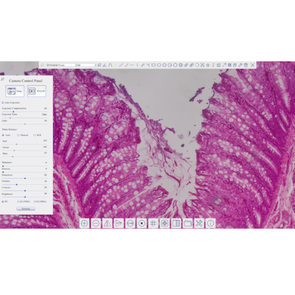 TOUPTEK ToupCam XCAMLITE4K 8MPB camera, color, CMOS, 1/1.2", 2.9 µm, 30/20 fps, 8 MP, HDMI/USB 3.0