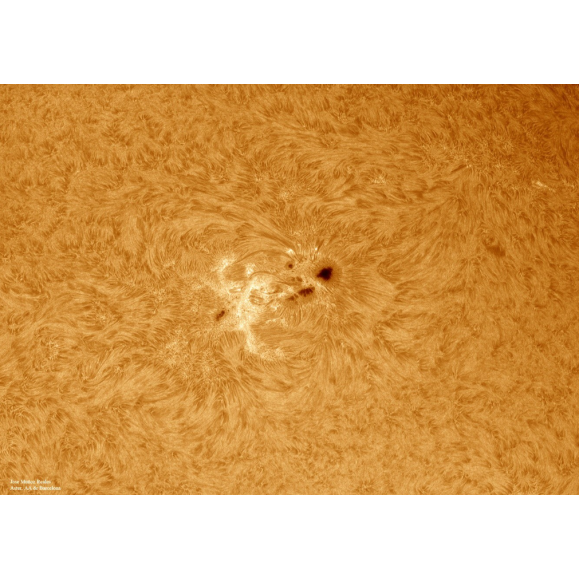 Solar filter LUNT H-Alpha LS100FHa / B1800d2