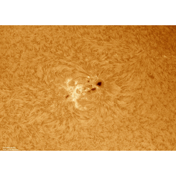 Solar filter LUNT LS100FHa / B1800d1