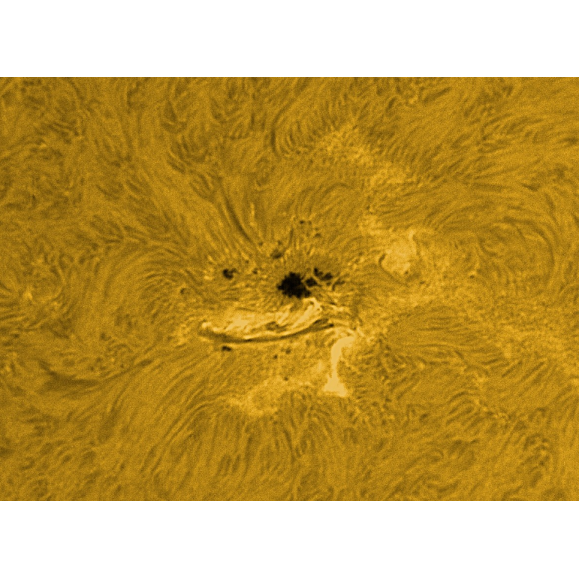 Solar filter LUNT LS100FHa / B1800d1