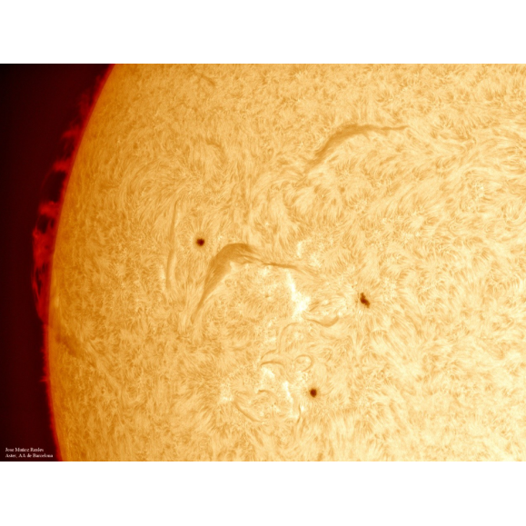 Solar filter LUNT H-Alpha LS100FHa / B1200d2