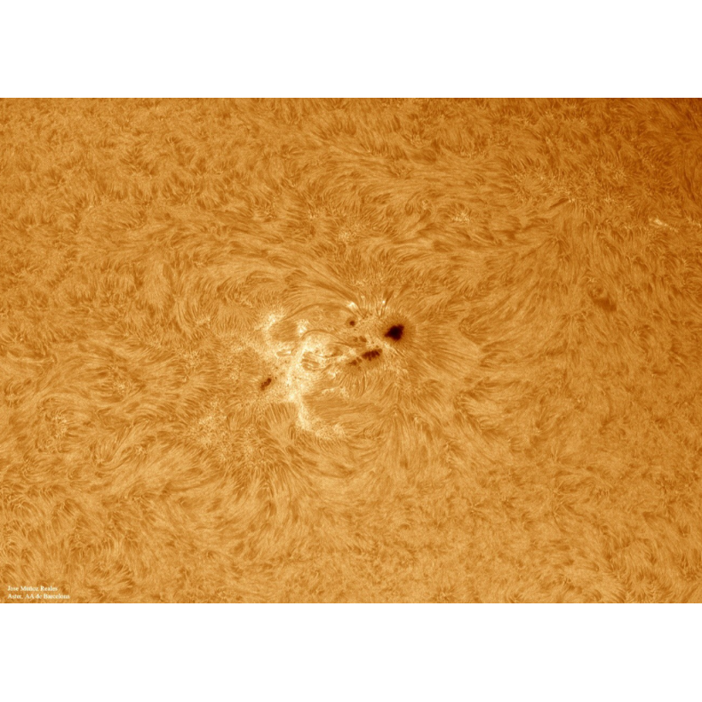 Solar filter LUNT H-Alpha LS100FHa /... Solar filter LUNT H-Alpha LS100FHa /...