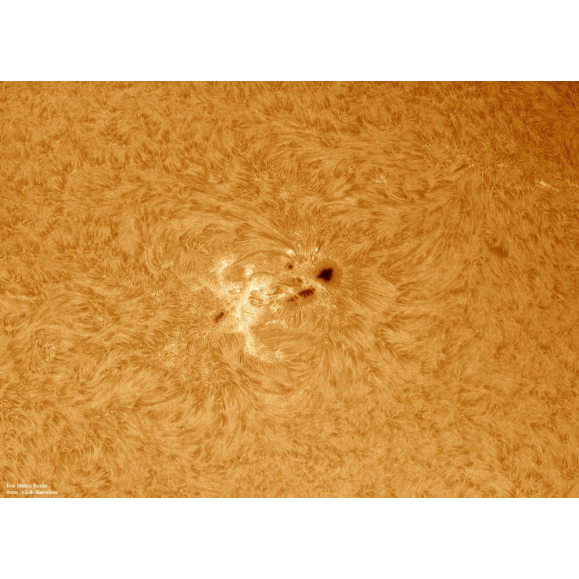 Solar filter LUNT H-Alpha LS100FHa / B1200d2