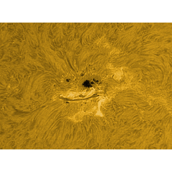 Solar filter LUNT H-Alpha LS100FHa / B1200d2