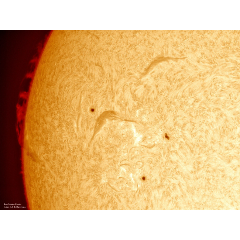 Solar filter LUNT H-Alpha LS100FHa /...