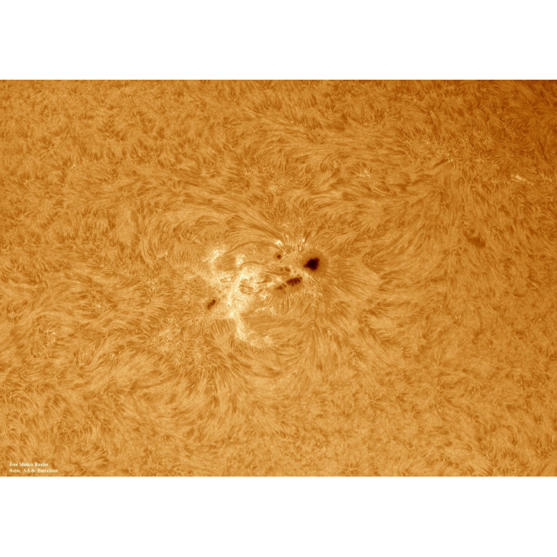 Solar filter LUNT H-Alpha LS100FHa /... Solar filter LUNT H-Alpha LS100FHa /...