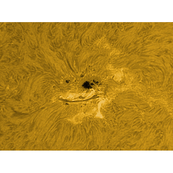 Solar filter LUNT H-Alpha LS100FHa / B1200d1
