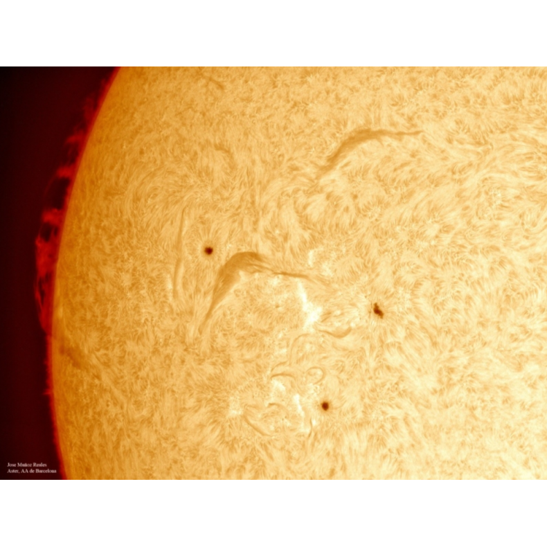 Solar filter LUNT H-Alpha LS100FHa /...