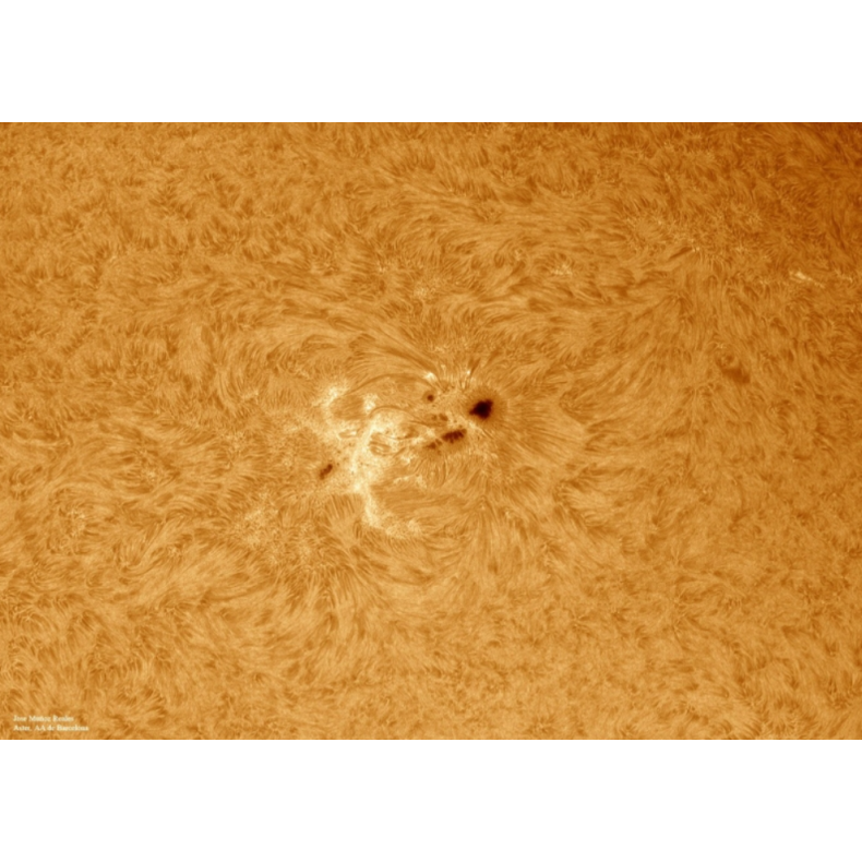 Solar filter LUNT H-Alpha LS100FHa /...