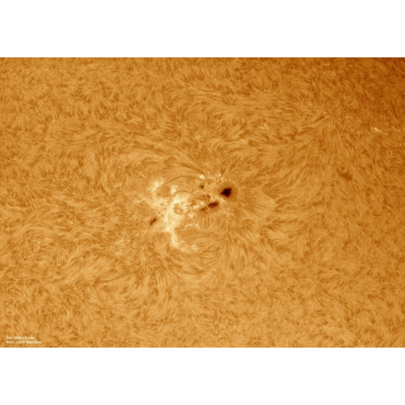 Solar filter LUNT H-Alpha LS100FHa / B600d1