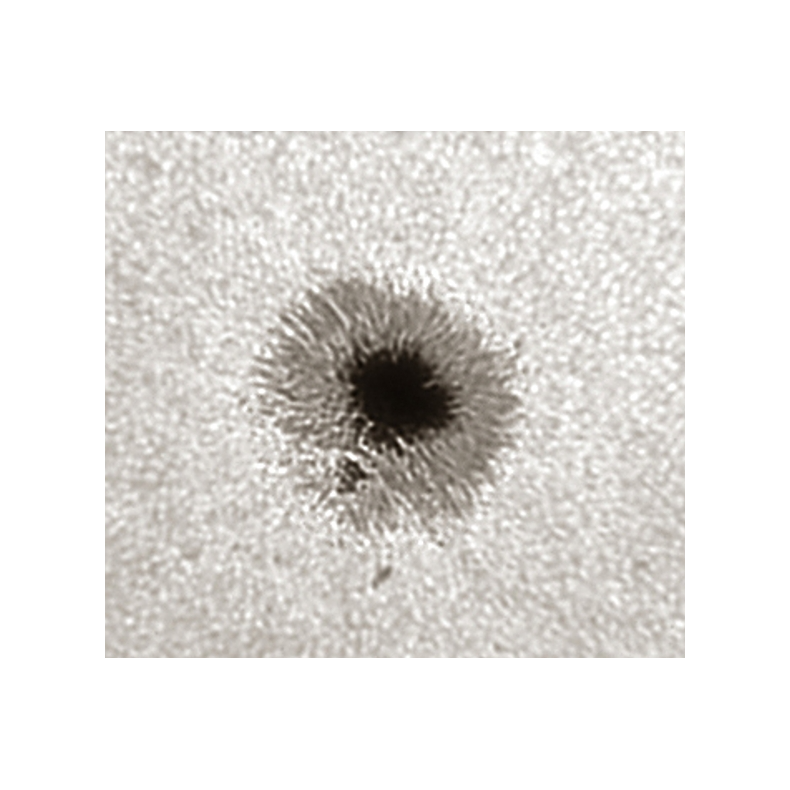 Herschel LUNT LS1.25HW Prism 50.8mm... Herschel LUNT LS1.25HW Prism 50.8mm...