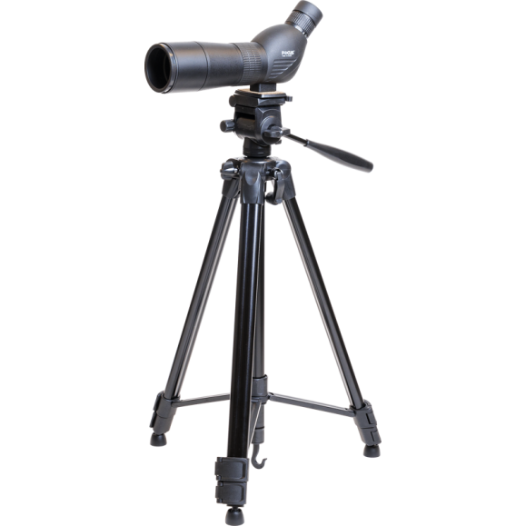 Telescopio terrestre Focus Viewmaster 20-60x80 WP