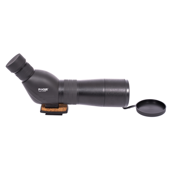 Telescopio terrestre Focus Viewmaster 20-60x80 WP