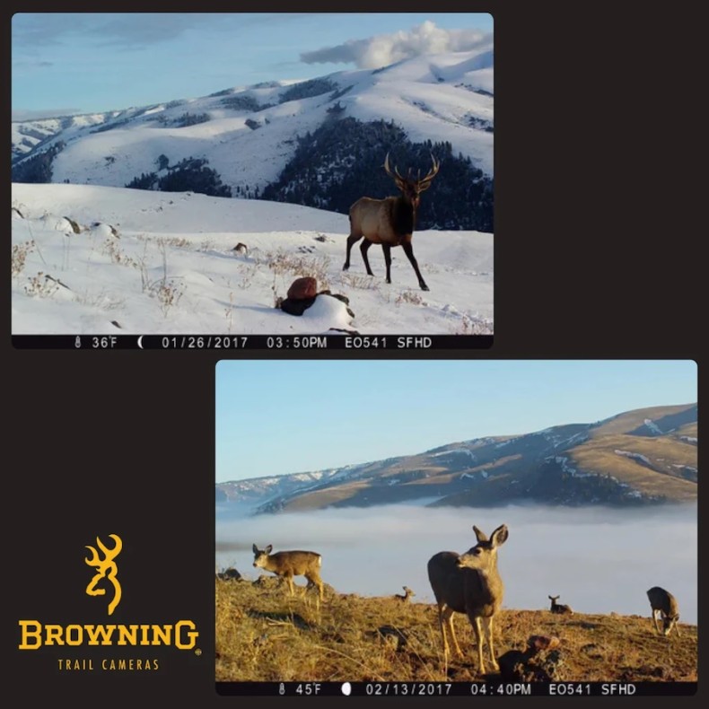 Strike Force Pro x 1080 BROWNING... Strike Force Pro x 1080 BROWNING...