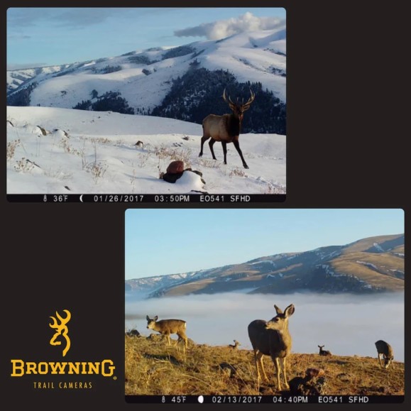 Strike Force Pro x 1080 BROWNING trapping camera