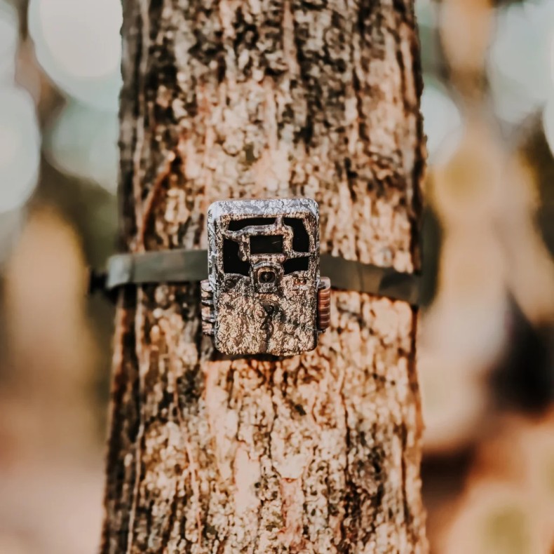 Dark Ops Pro X 1080 BROWNING trapping...