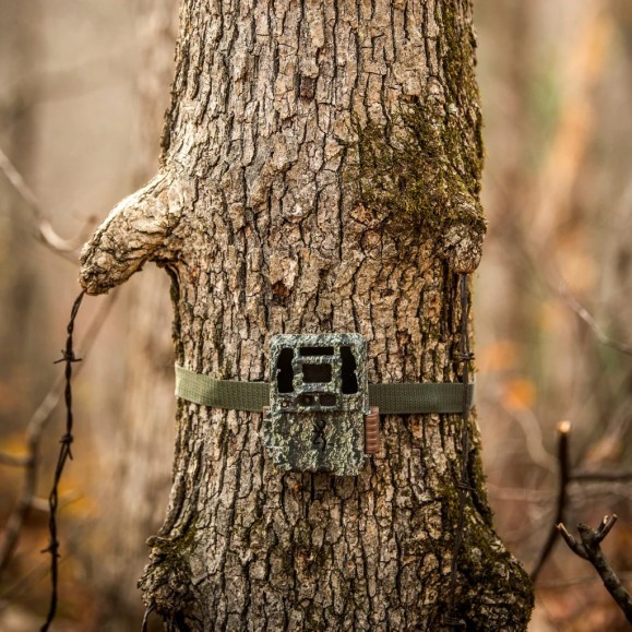 Dark OPS Pro DCL Nano BROWNING trapping camera