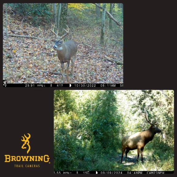 Spec Ops Elite HP5 BROWNING HP5 Trap Camera