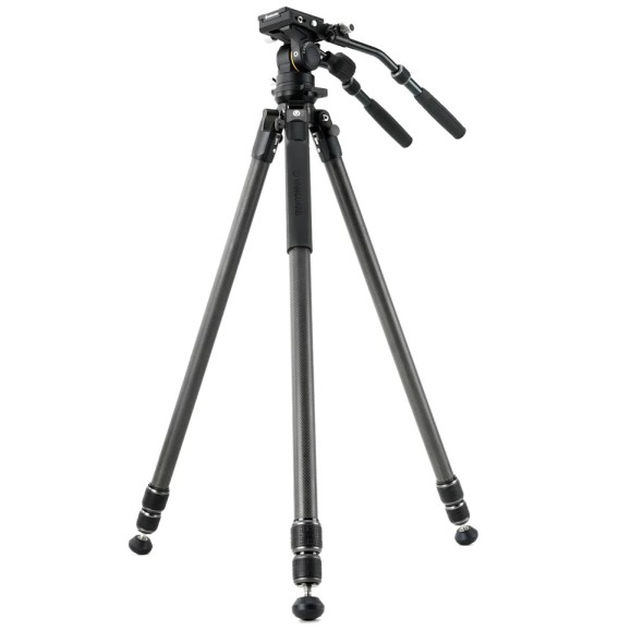 Kit VANGUARD Alta Pro 3VL 303CV18 - carbon video tripod, ball head VEO PV-18