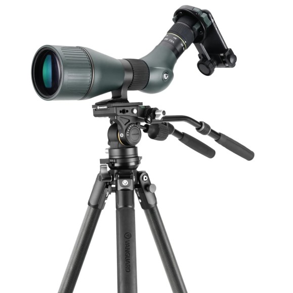 Kit VANGUARD Alta Pro 3VL 303CV18 - carbon video tripod, ball head VEO PV-18