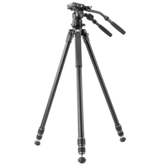 Kit VANGUARD Alta Pro 3VL 303AV18 - aluminum video tripod, ball head VEO PV-18