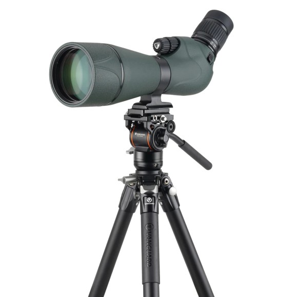 Kit VANGUARD Alta Pro 3VL 264AV14 - aluminum video tripod, ball head VEO PV-14