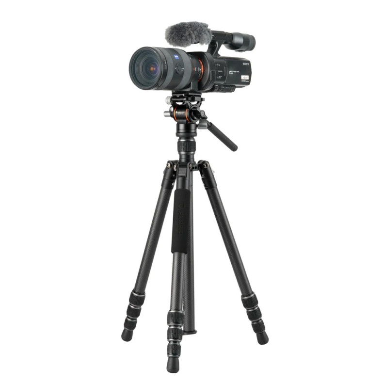 VANGUARD Vesta GO 234CV10 carbon...