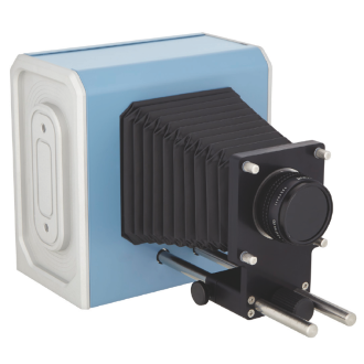 Infrared reflectography...