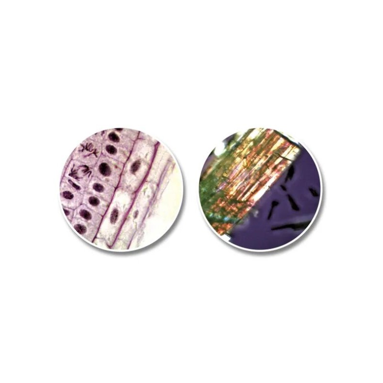 Microscope National Geographic...