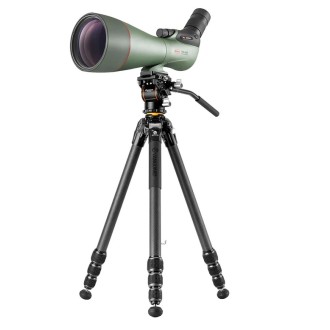 Set Telescope KOWA TSN-99...