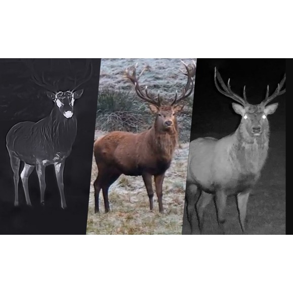 Multispectrum thermal binoculars with rangefinder + IR 850 940 nm Hikmicro Habrok 4K HE25L 2.0