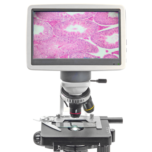 Microscope BMS 146 FLArQ LED 230V with mechanical stage and Cellpad Mini